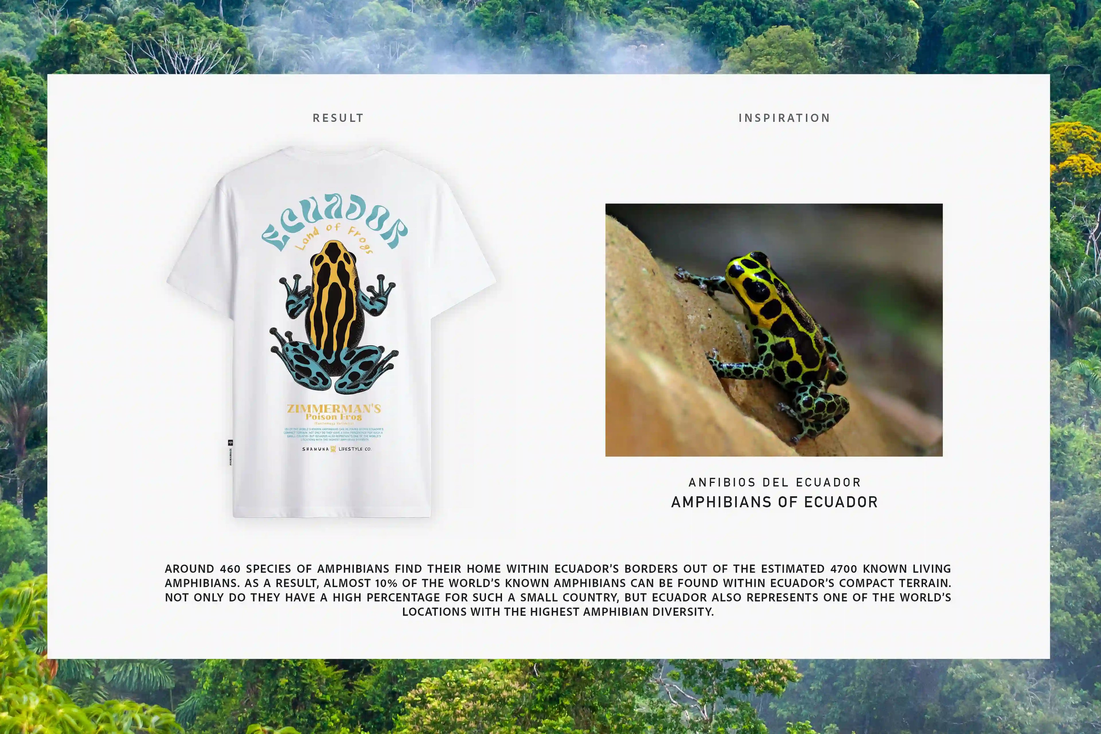 LAND OF FROGS - RAW T-SHIRT