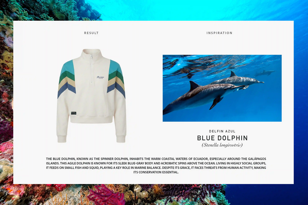 W SUDADERA ALTAR DOLPHIN