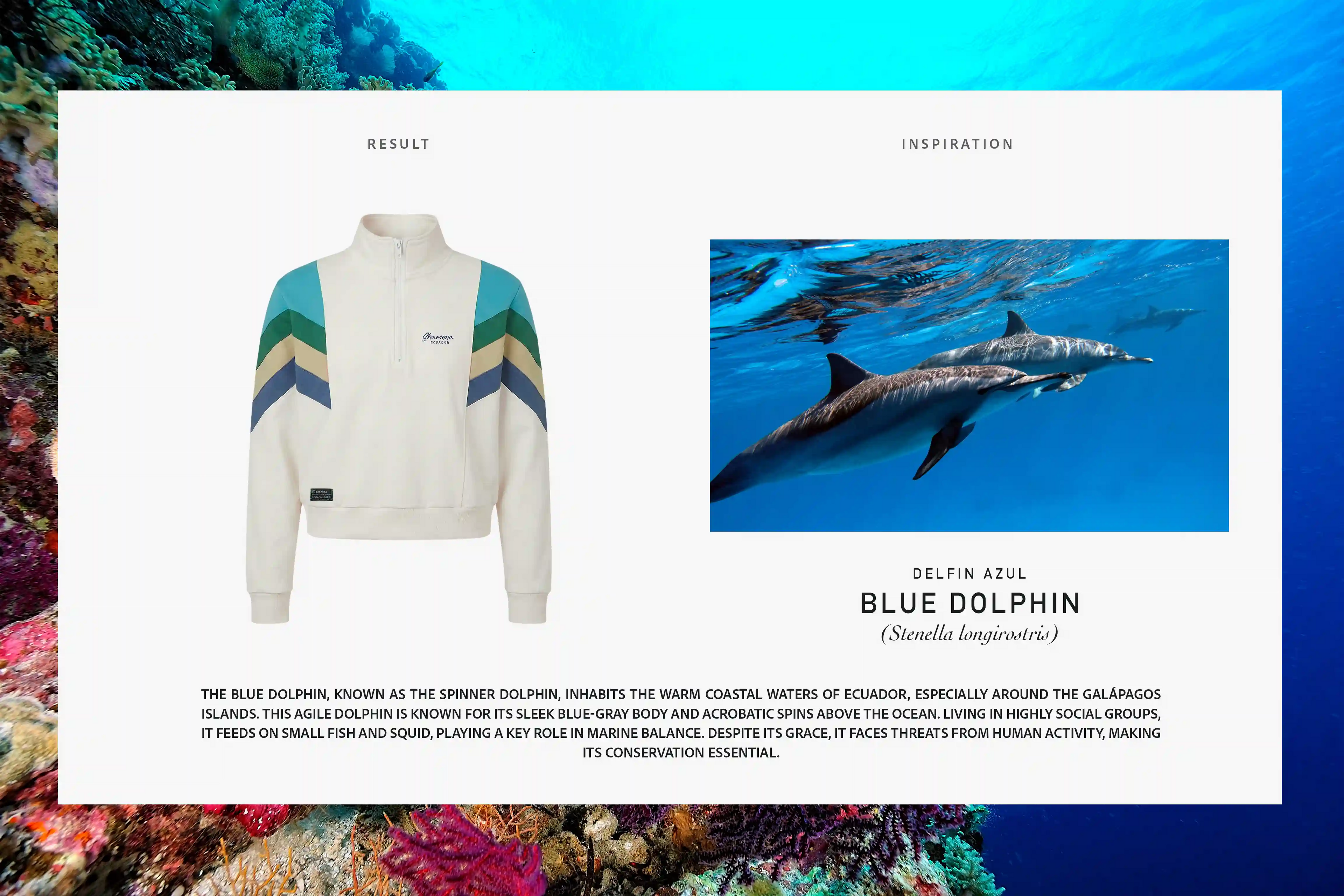 W SUDADERA ALTAR DOLPHIN