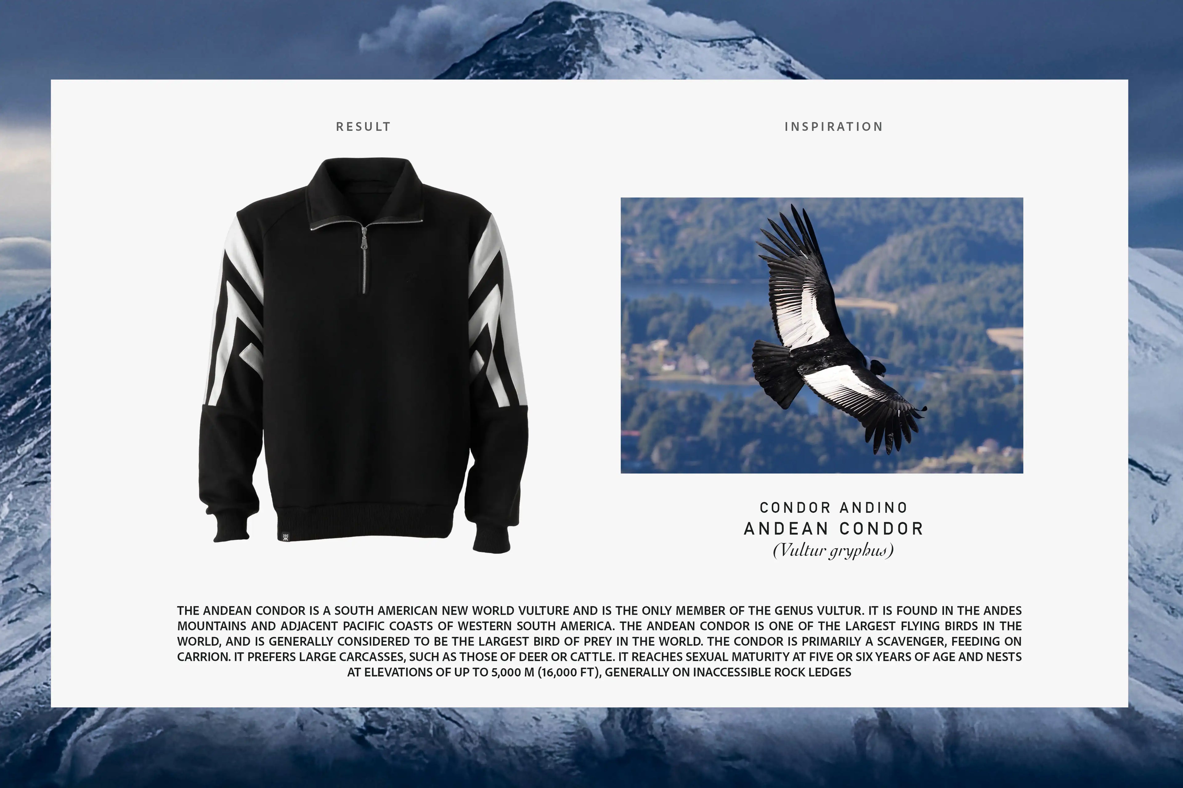 ANDES SWEATSHIRT CONDOR