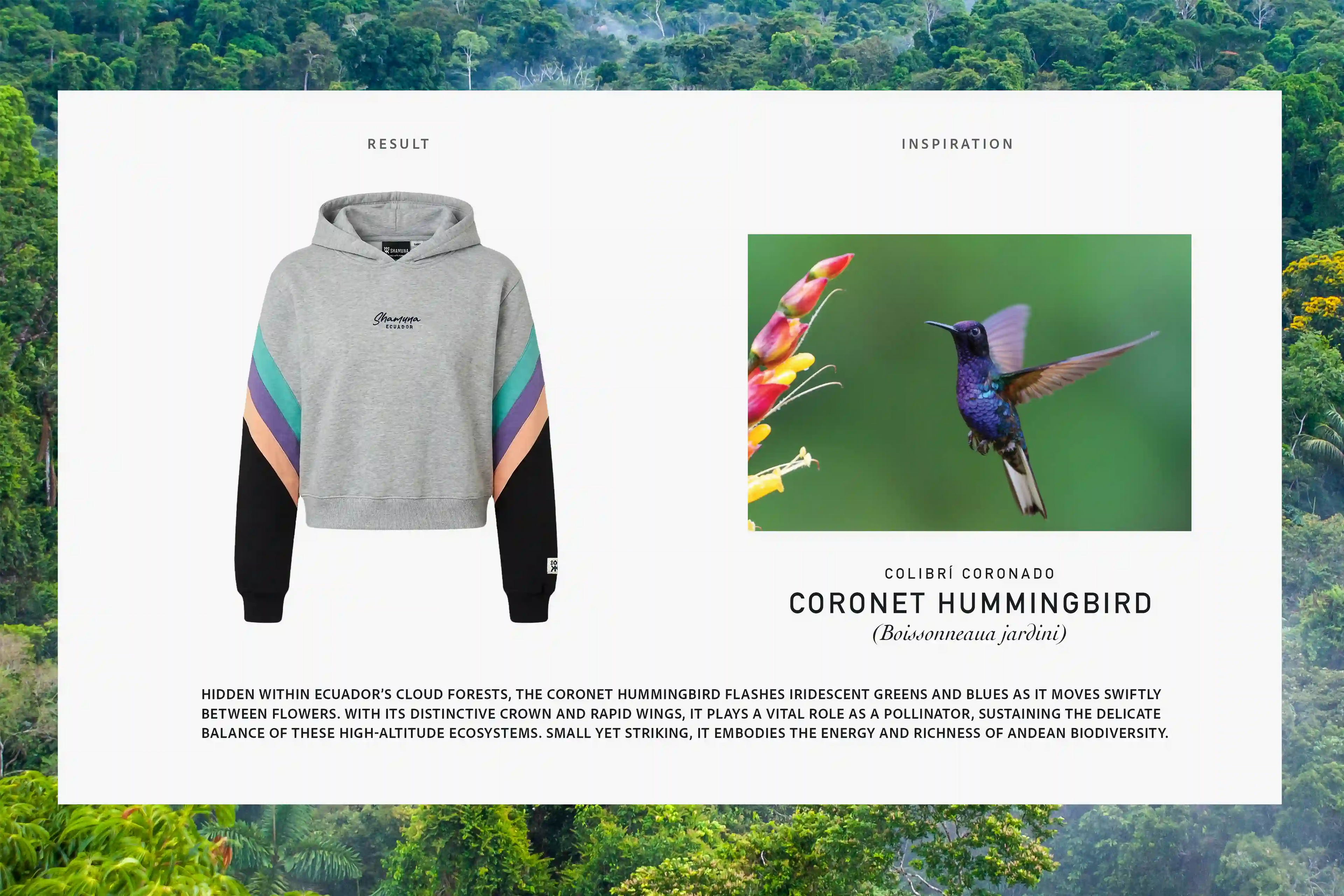 W YASUNI HOODIE CORONET HUMMINGBIRD
