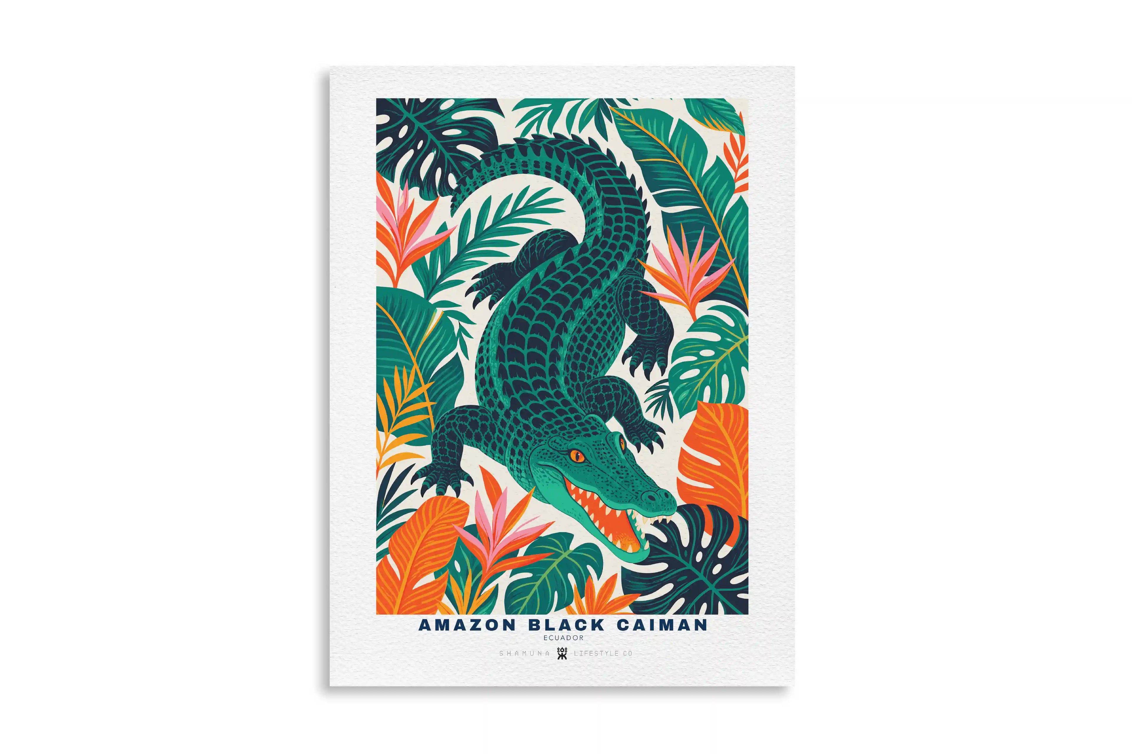 EC POSTER AMAZON BLACK CAIMAN