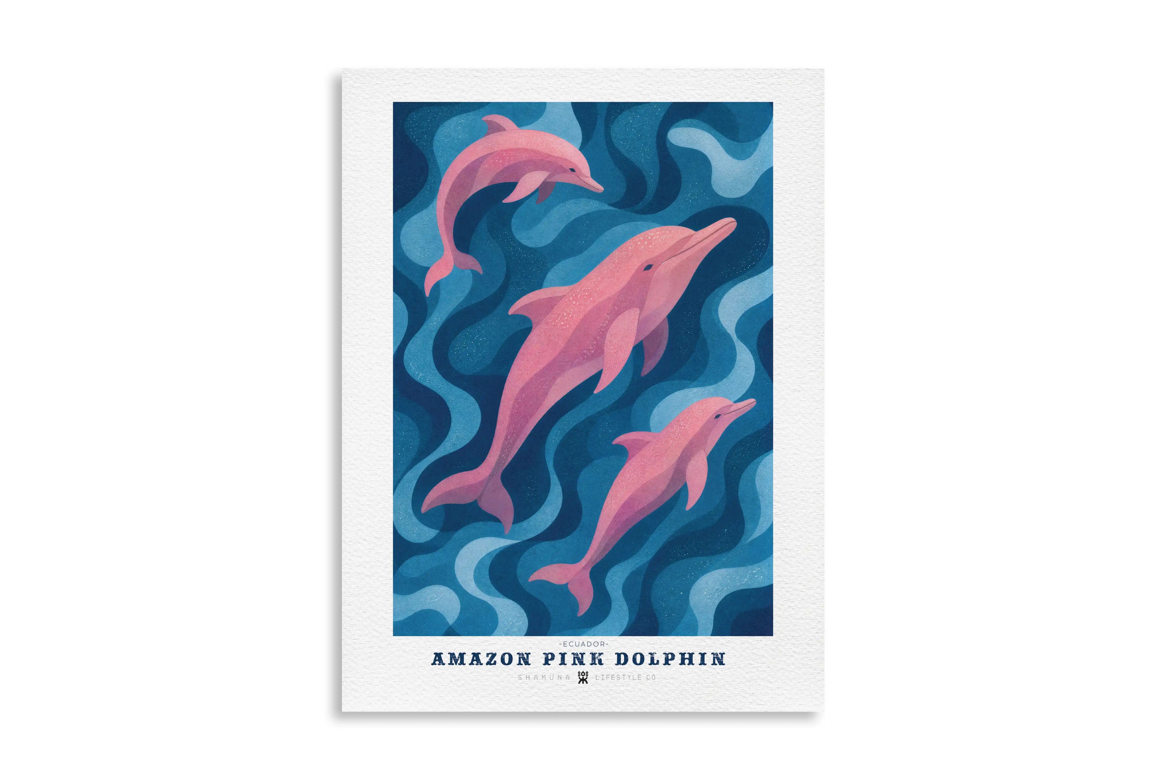 EC POSTER AMAZON PINK DOLPHIN