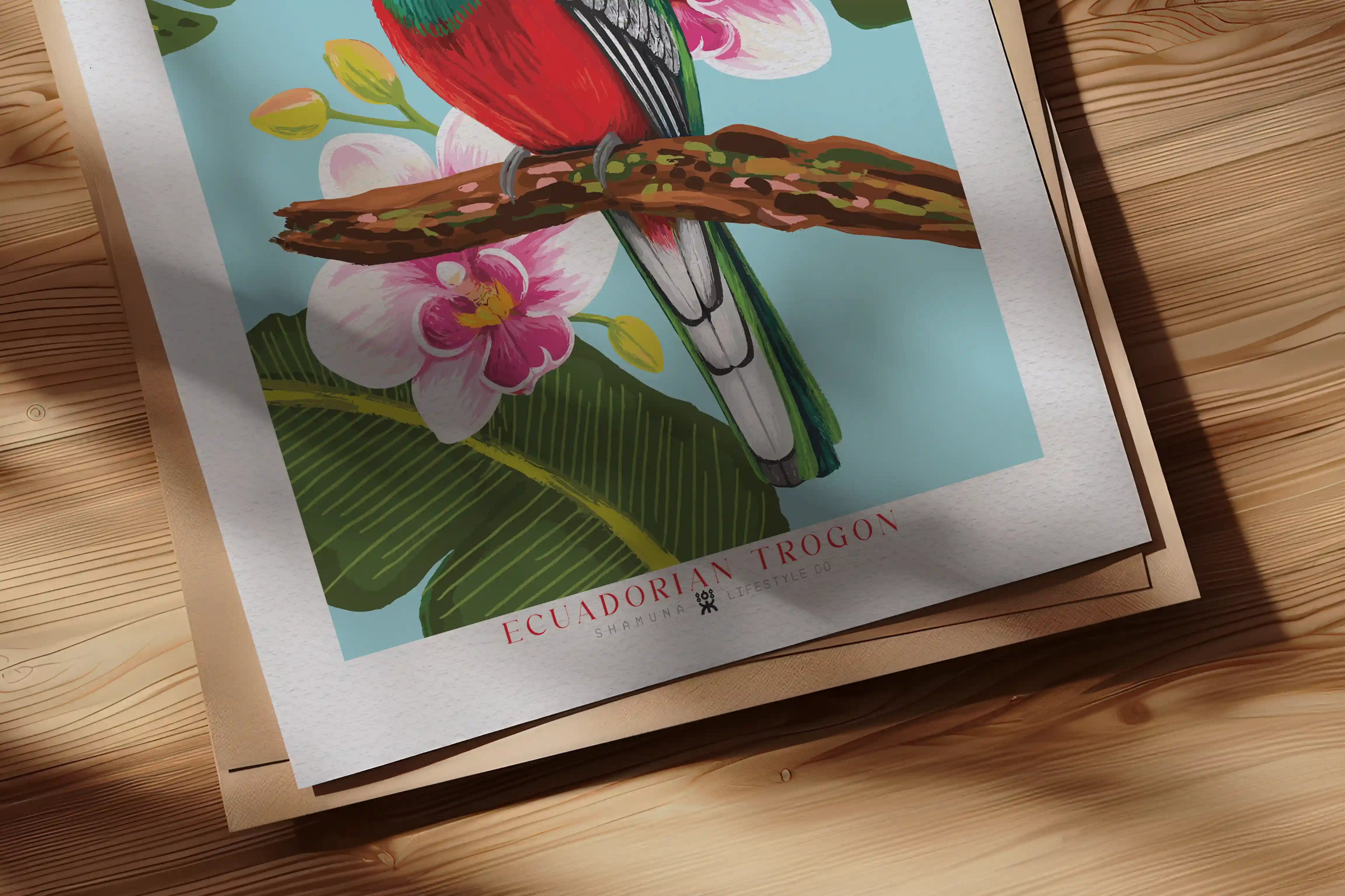 EC POSTER ECUADORIAN TROGON