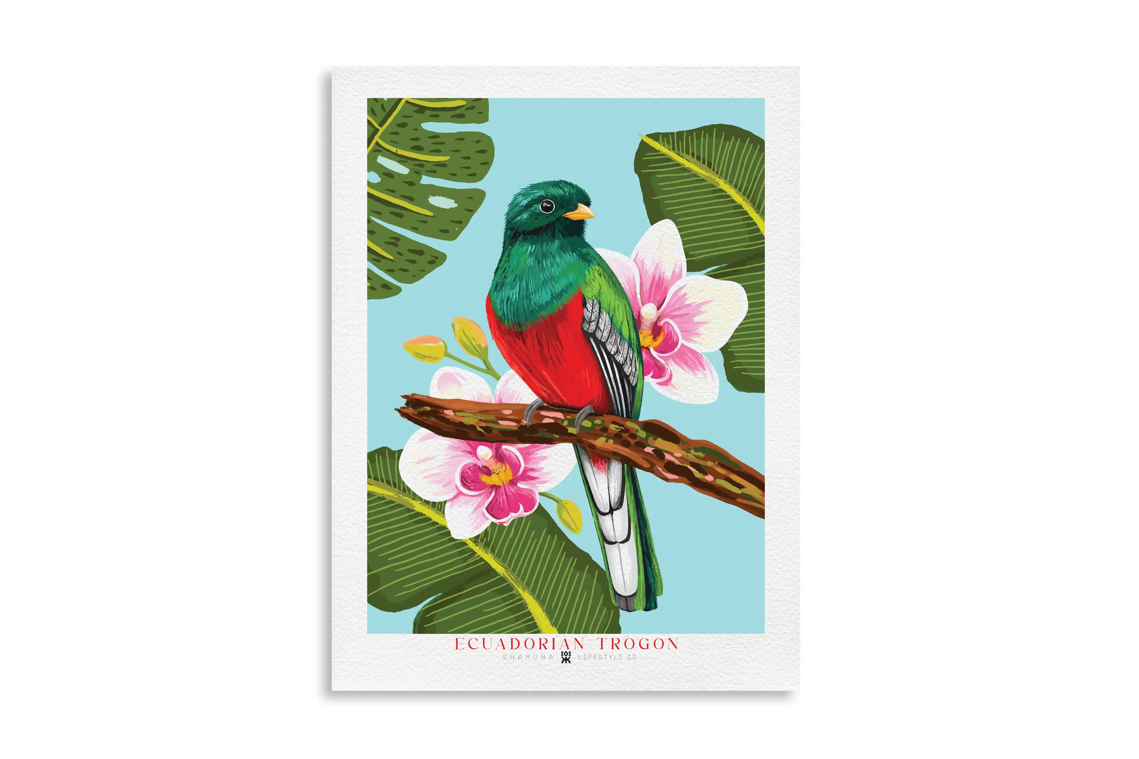 EC POSTER ECUADORIAN TROGON