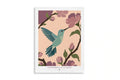 EC POSTER FLAT ECUADORIAN HUMMINGBIRD
