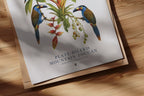 EC POSTER PLATE-BILLED MOUNTAIN TOUCAN
