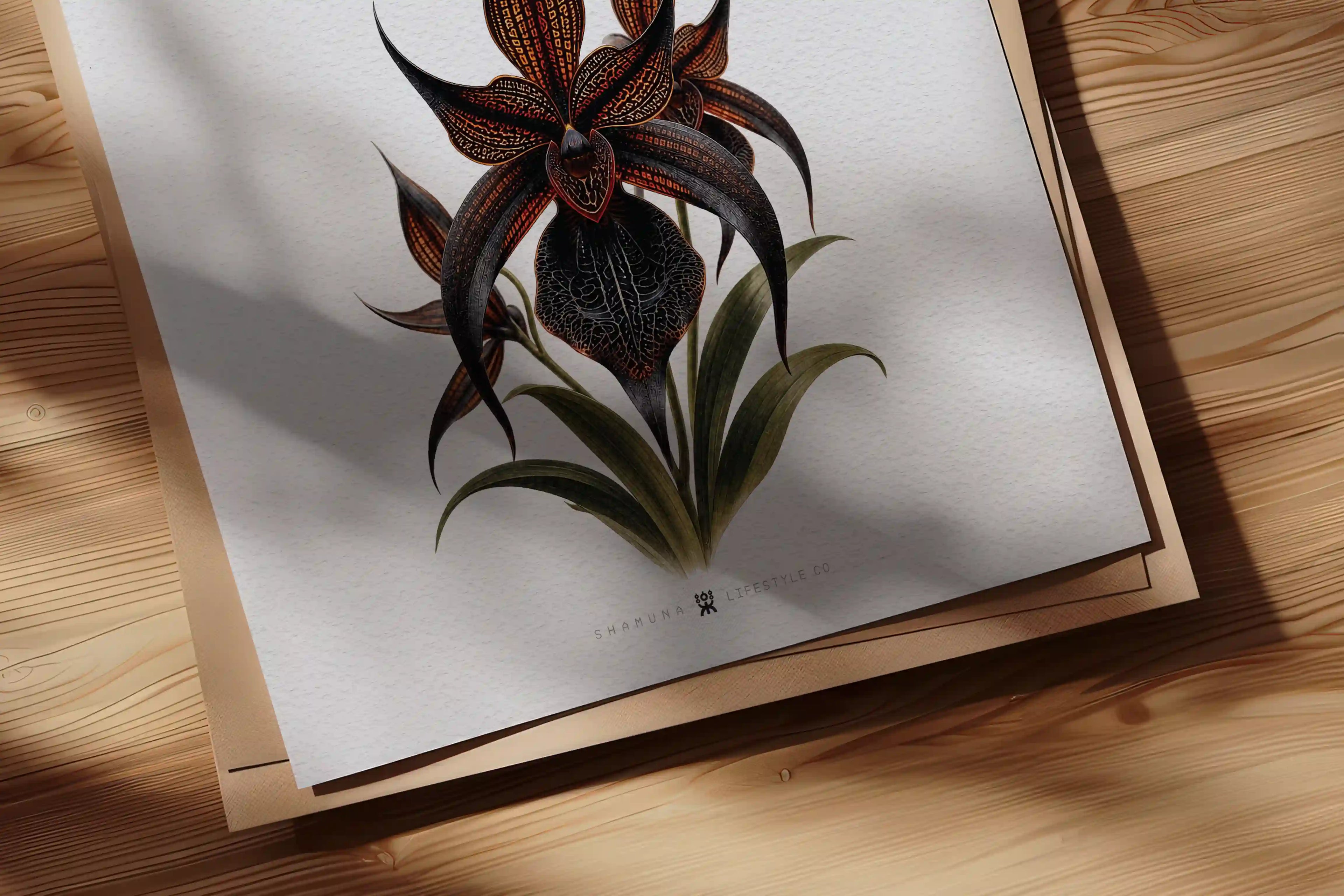 EC POSTER VAMPIRE ORCHID