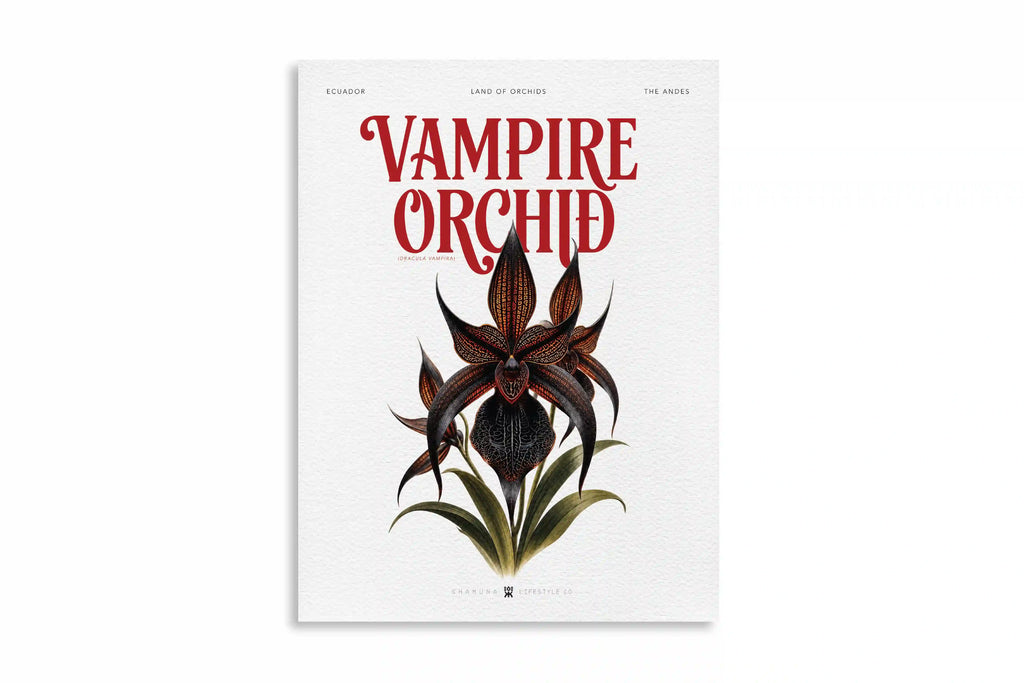 EC POSTER VAMPIRE ORCHID