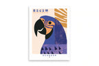 EC POSTER GUACAMAYO