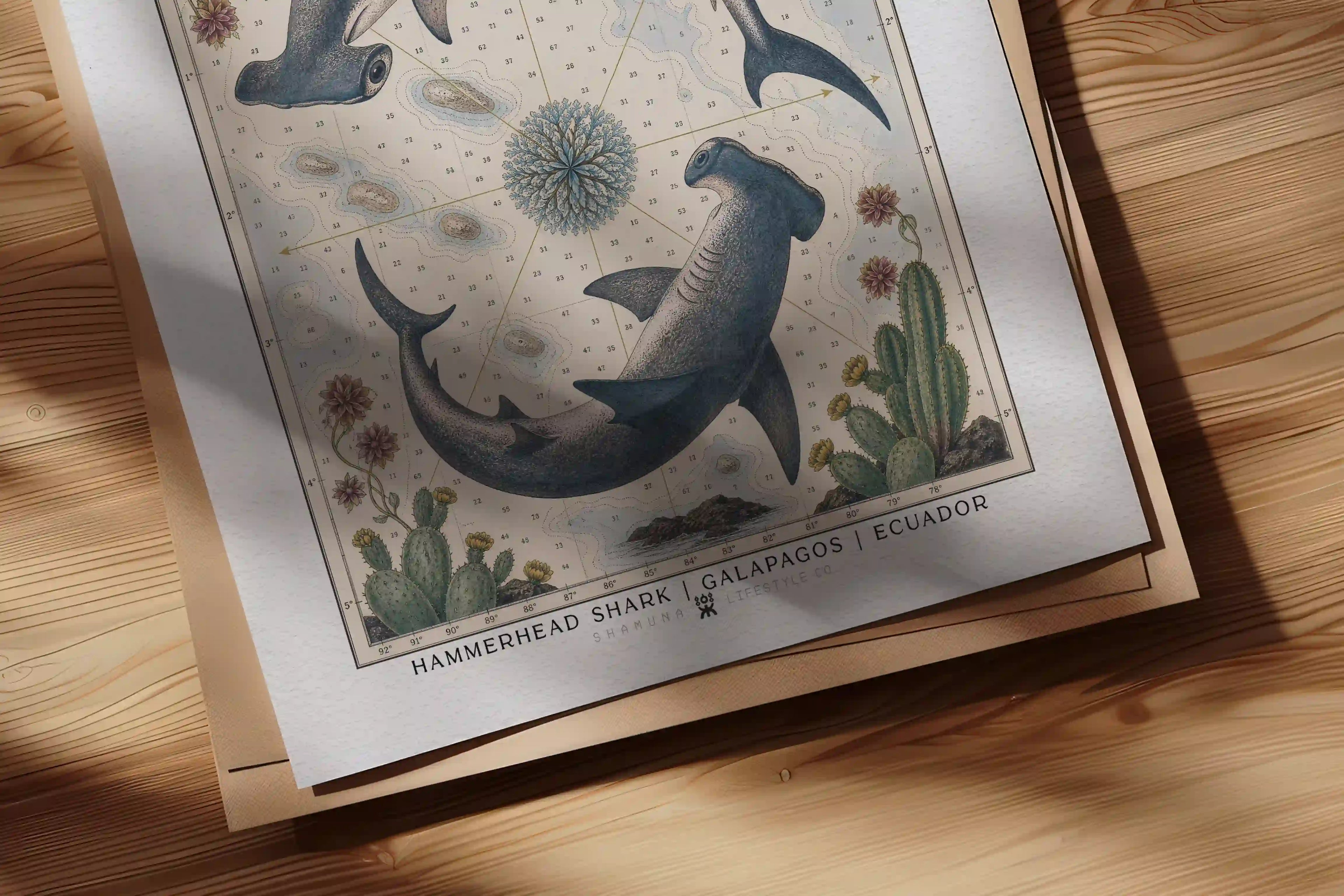GLP POSTER HAMMERHEAD SHARKS