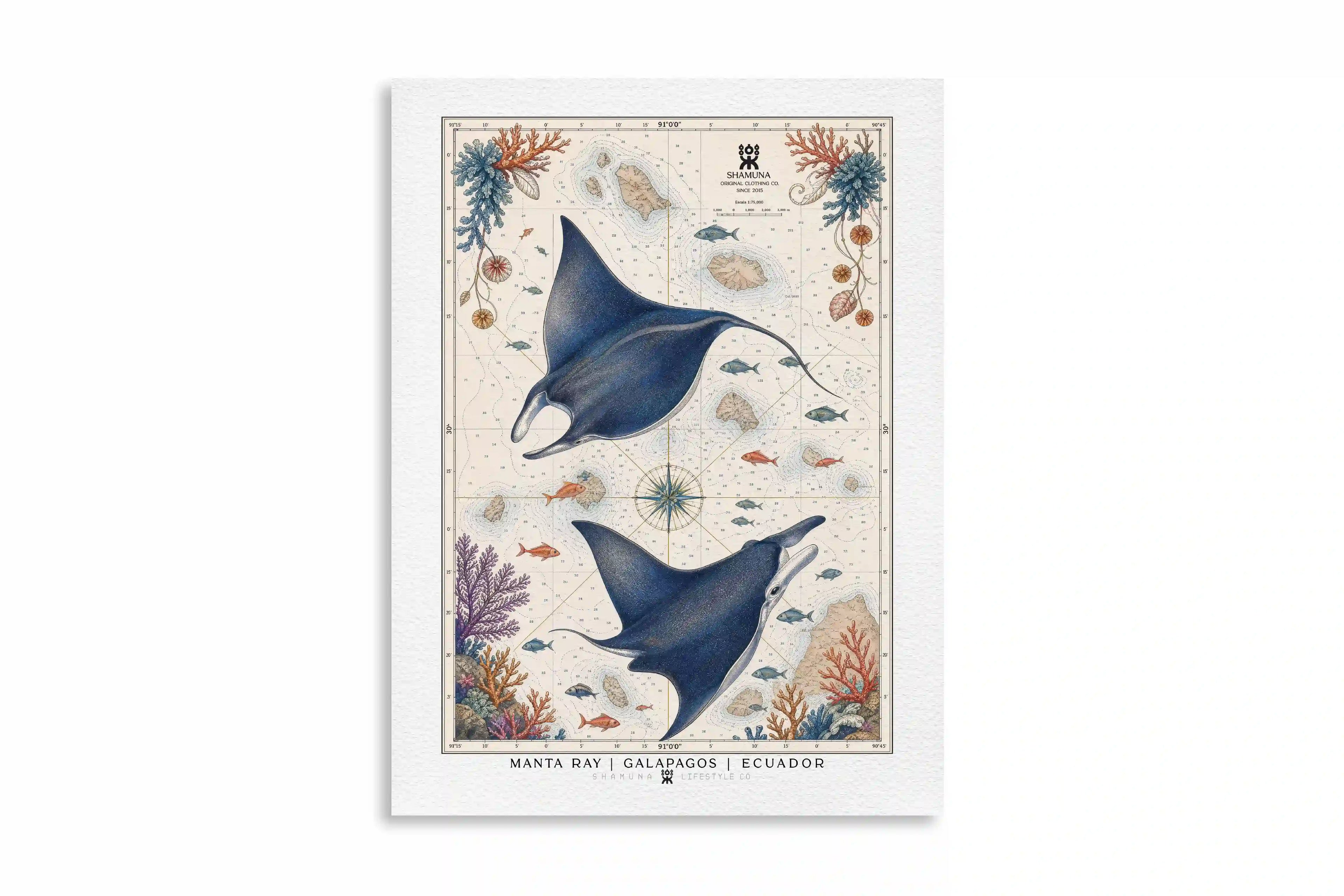 GLP POSTER MANTA RAYS
