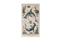 GLP TOWEL HAMMERHEAD & SEA LION MAPS