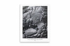 GLP POSTER SANTIAGO ISLAND 30x40