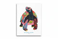 GLP POSTER TORTOISE COLORS 30x40