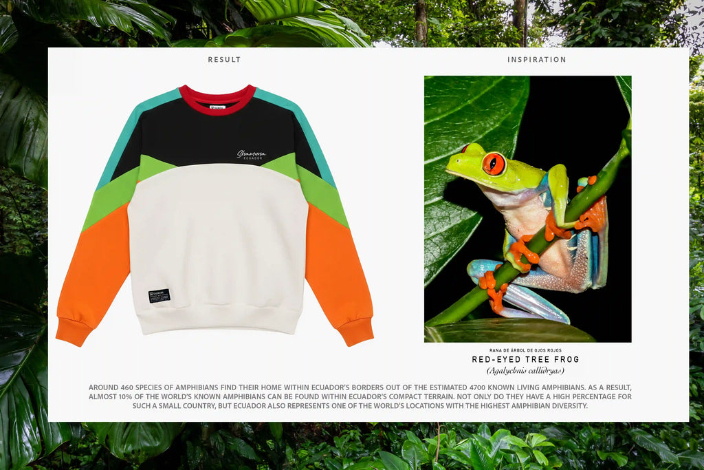 SUDADERA SANGAY TREE FROG