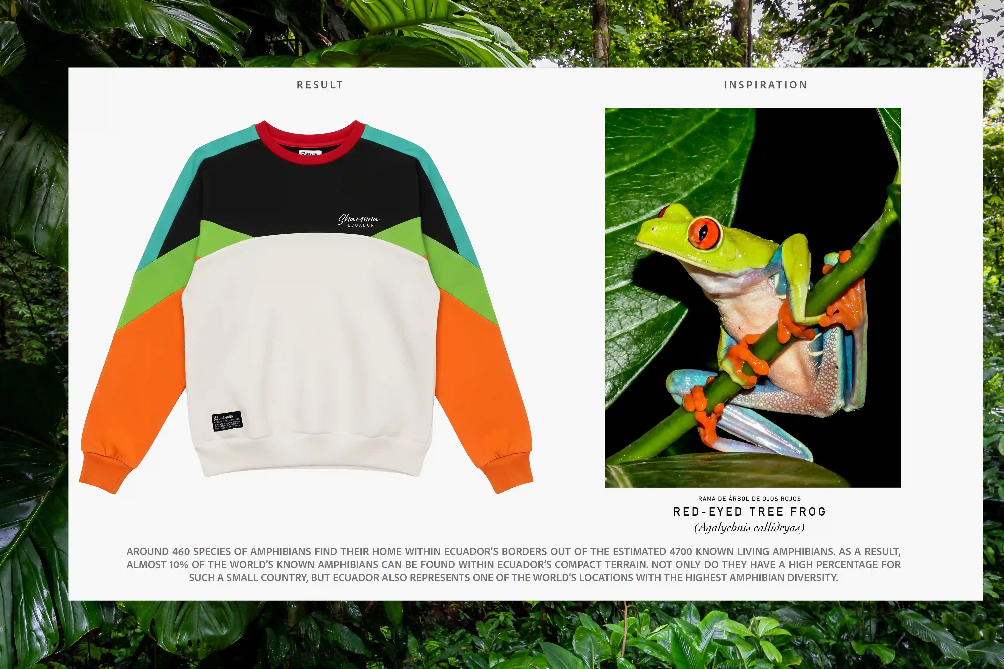 SUDADERA SANGAY TREE FROG