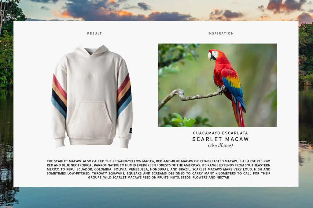 YASUNI HOODIE GUACAMAYO