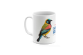 TAZA SHAMUNA EC LAND OF BIRDS