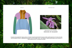 W POLAR CAMPING ORQUIDEA