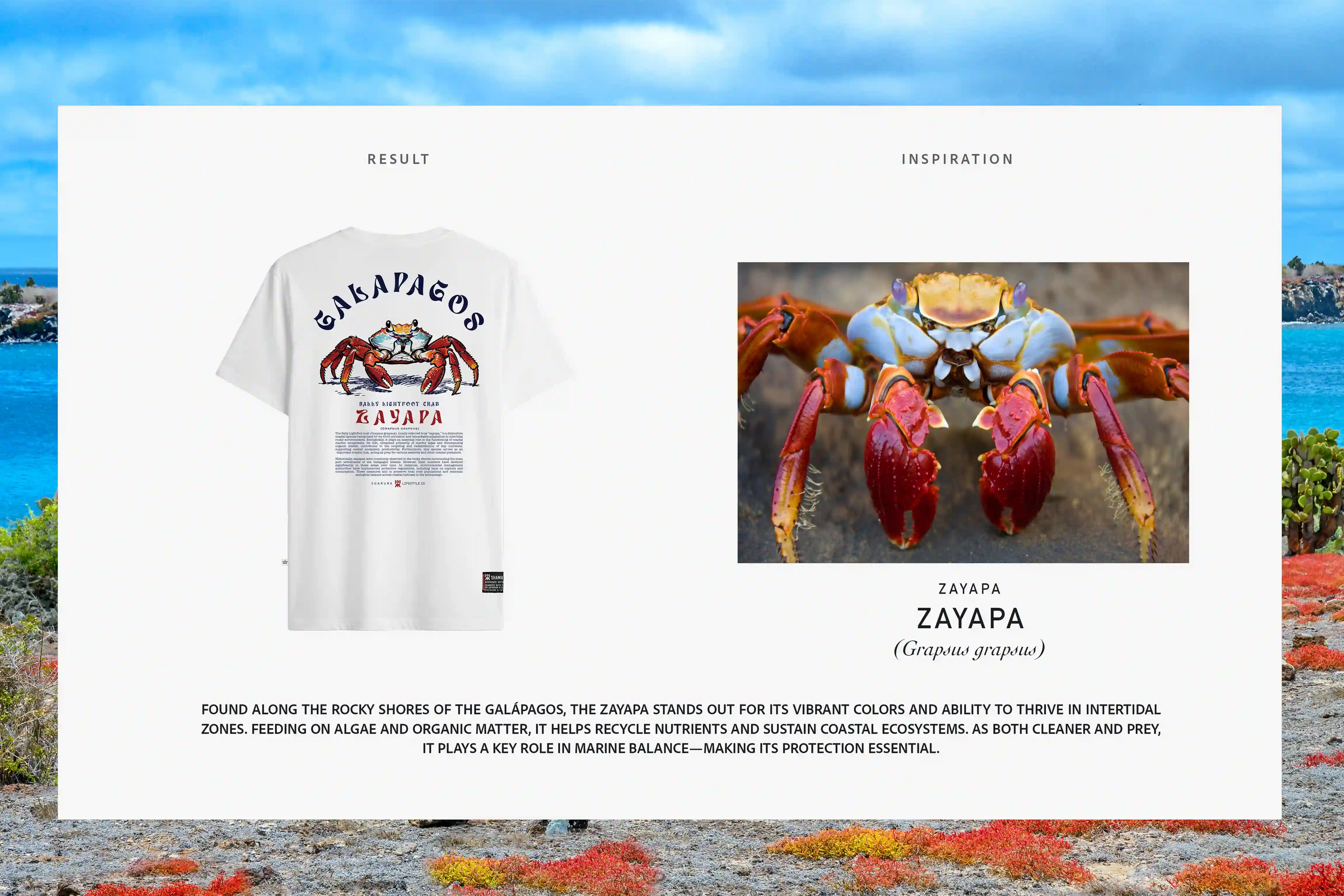 GLP ZAYAPA RAW T-SHIRT